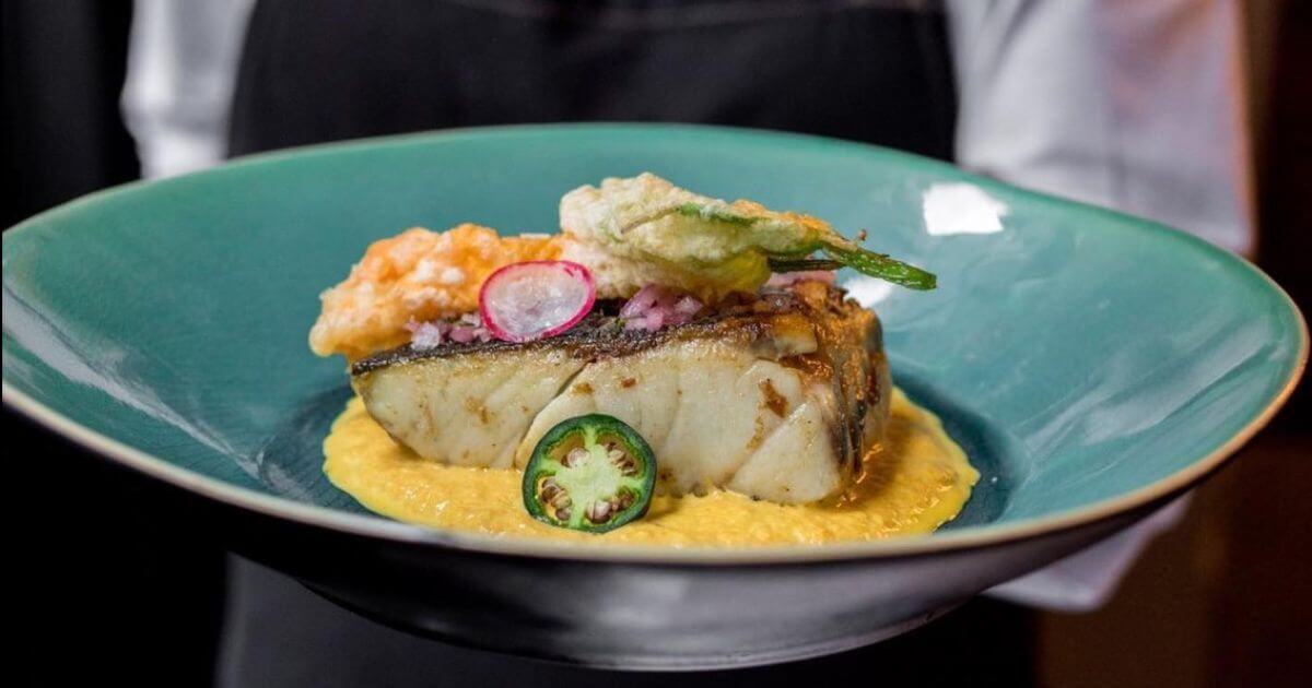 Plato típico mexicano Corvina en salsa de Flor de Calabacín